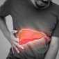Liver_03 85x85
